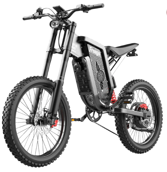 Freego X2 Electric Dirt Bike