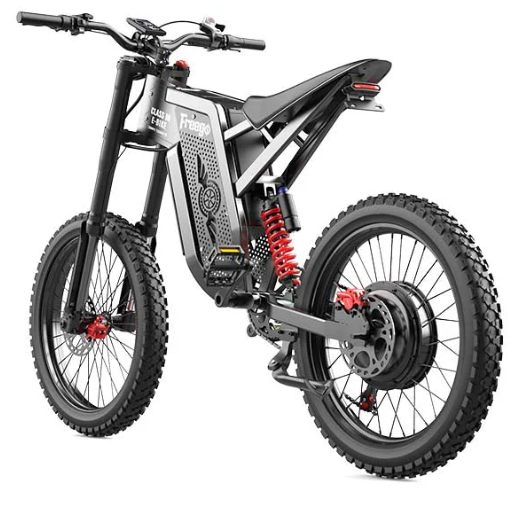 Freego X2 Electric Dirt Bike