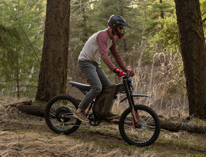 Freego X2 PRO Electric Dirt Bike