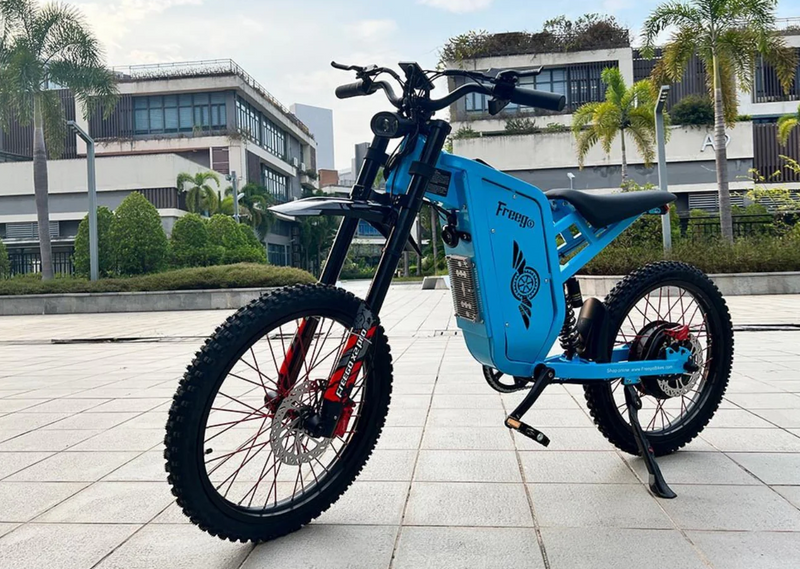 Freego X2 PRO Electric Dirt Bike