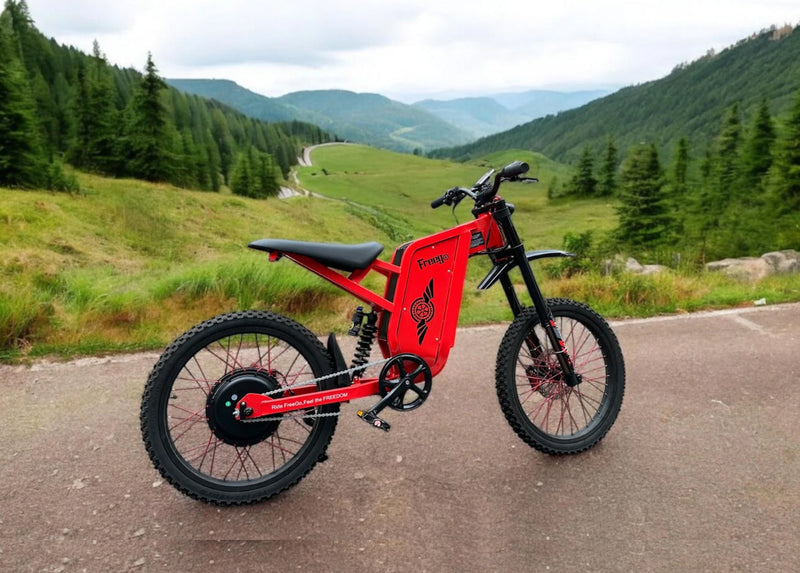 Freego X2 Pro - All-Terrain Mountain Off-Road E-Bike